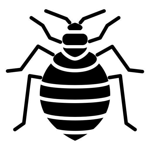 Punaises