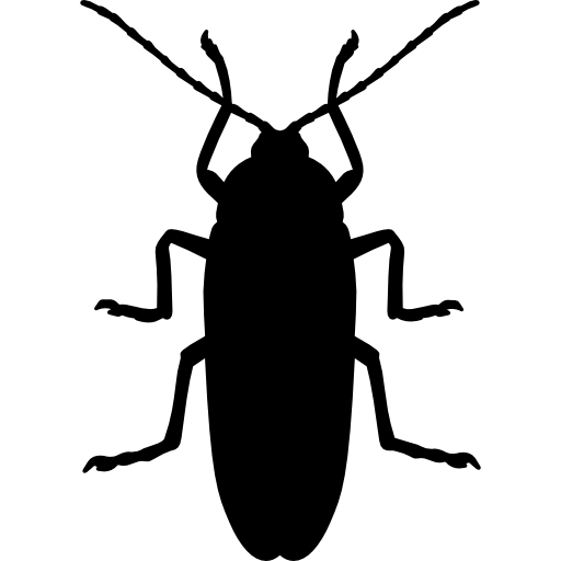 Cafard