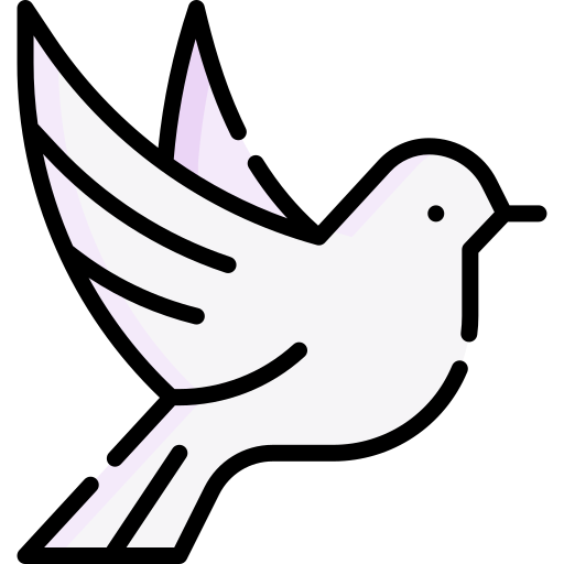 Pigeons